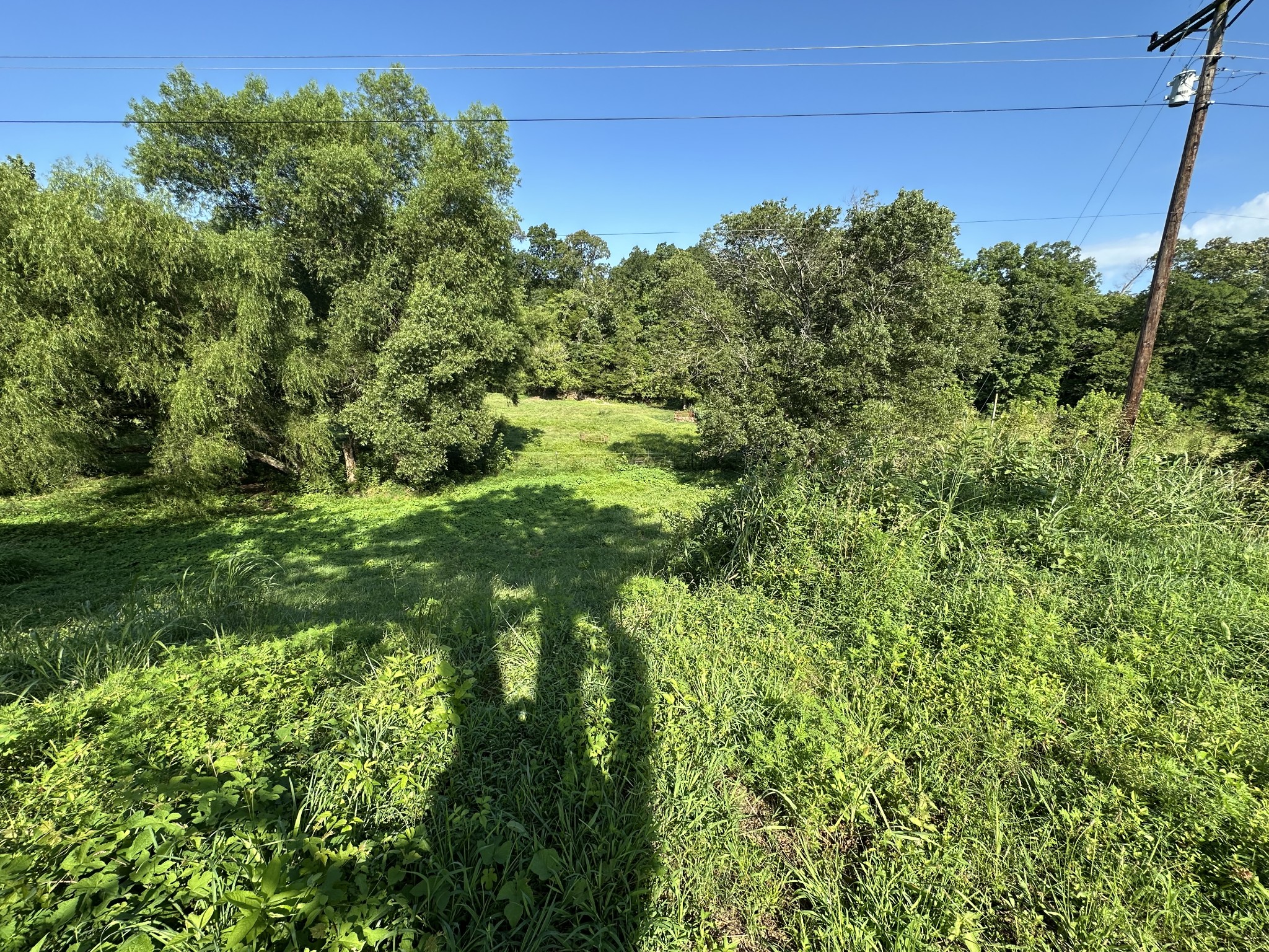 0 Highway 100, W Centerville TN 37033