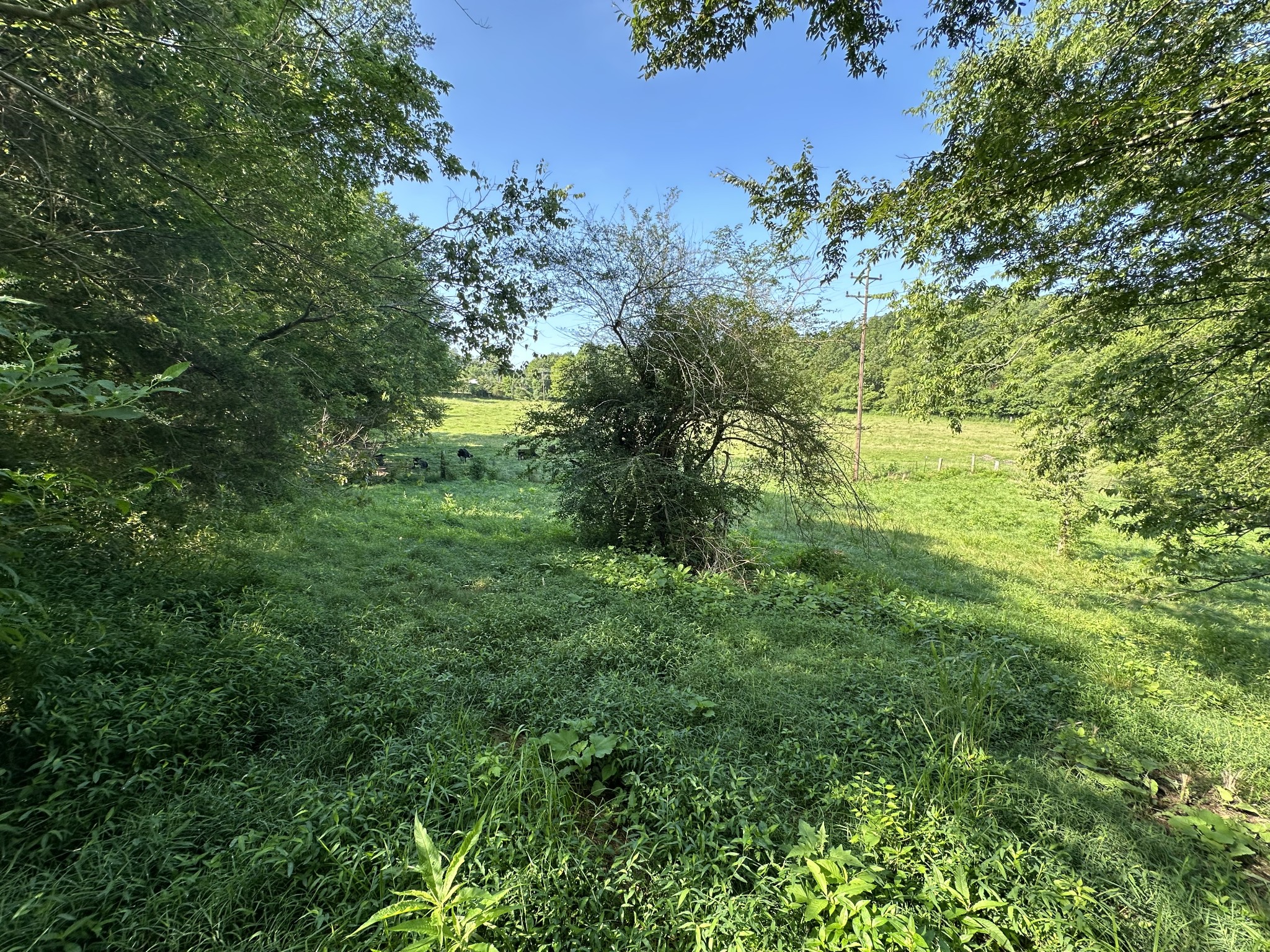 0 Highway 100, W Centerville TN 37033