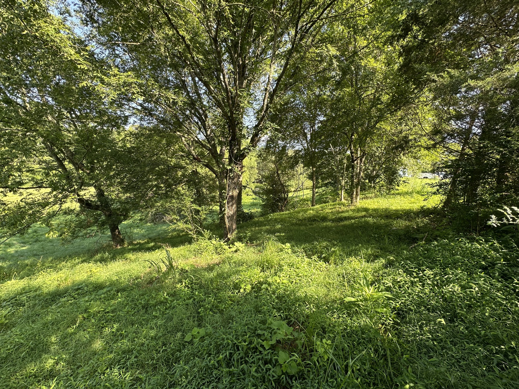0 Highway 100, W Centerville TN 37033