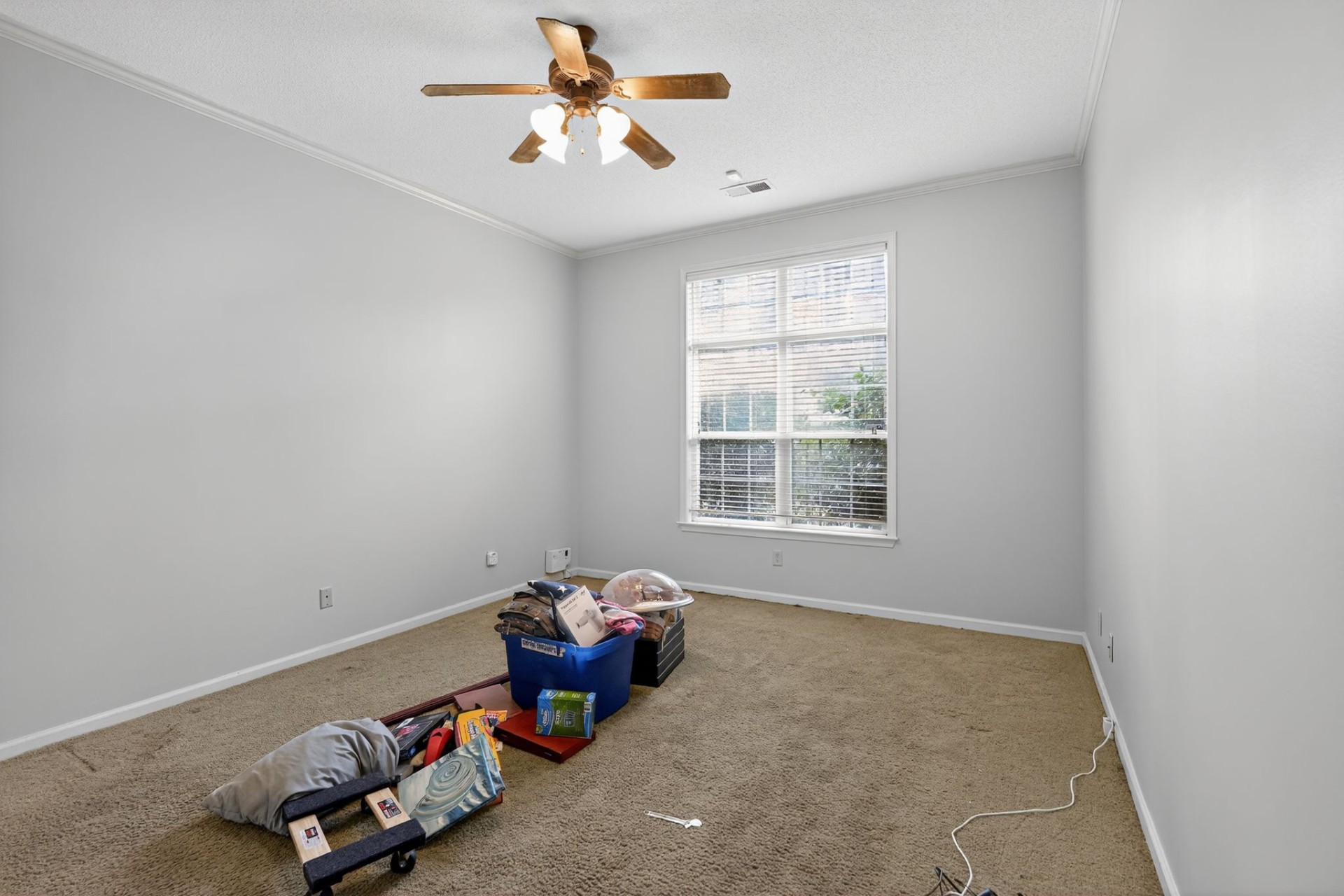 11205 Carston Cove Arlington TN 38002