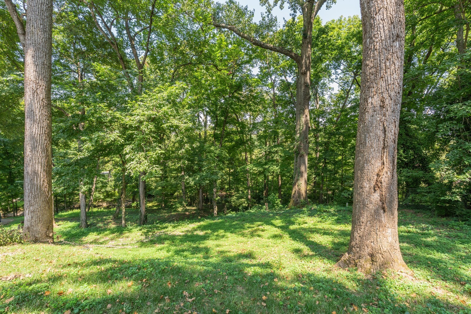 711 Hill Road Brentwood TN 37027