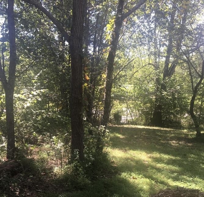 5904 Davis Hollow Road Franklin TN 37064