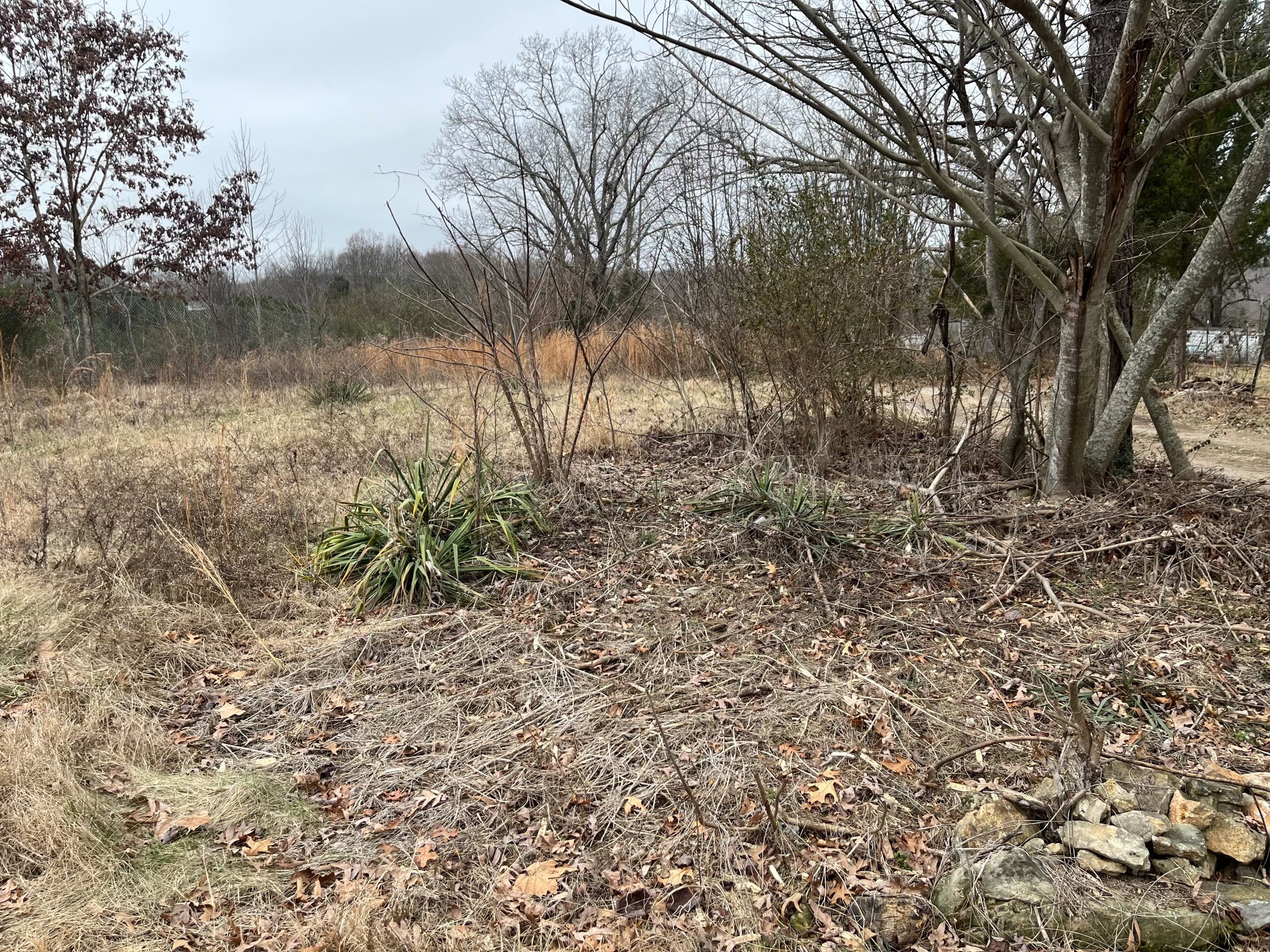 5904 Davis Hollow Road Franklin TN 37064