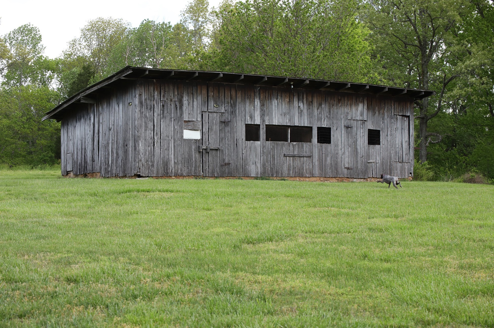 4801 Highway 48 Cumberland Furnace TN 37051