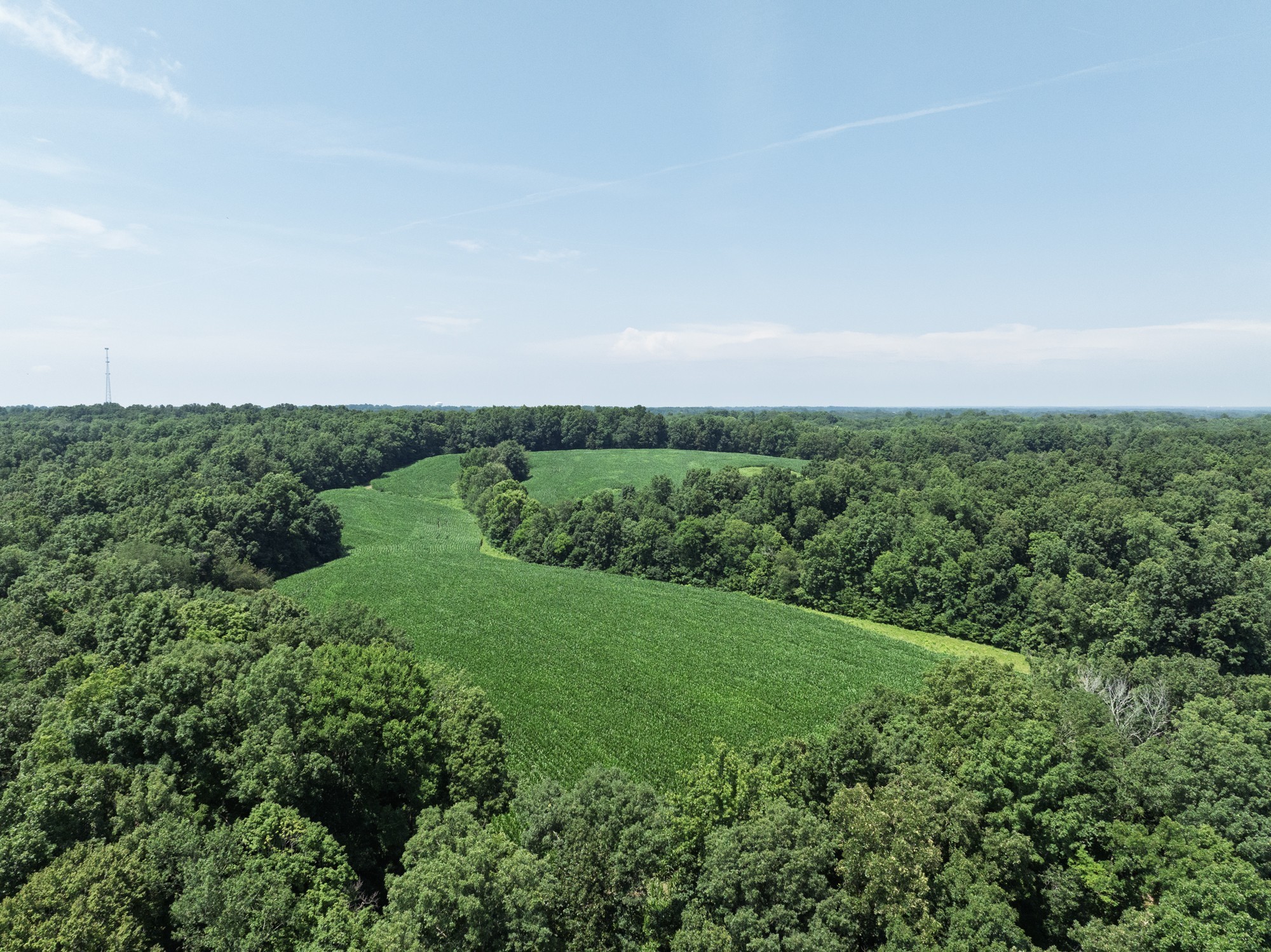 4801 Highway 48 Cumberland Furnace TN 37051