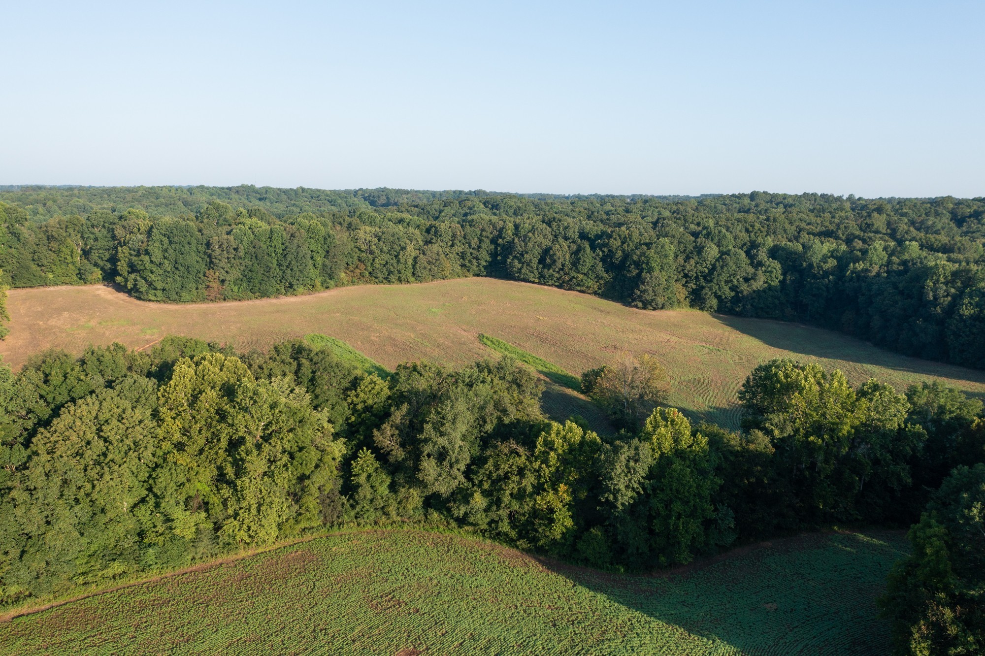 4801 Highway 48 Cumberland Furnace TN 37051