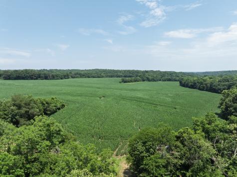 4801 Highway 48 Cumberland Furnace TN 37051