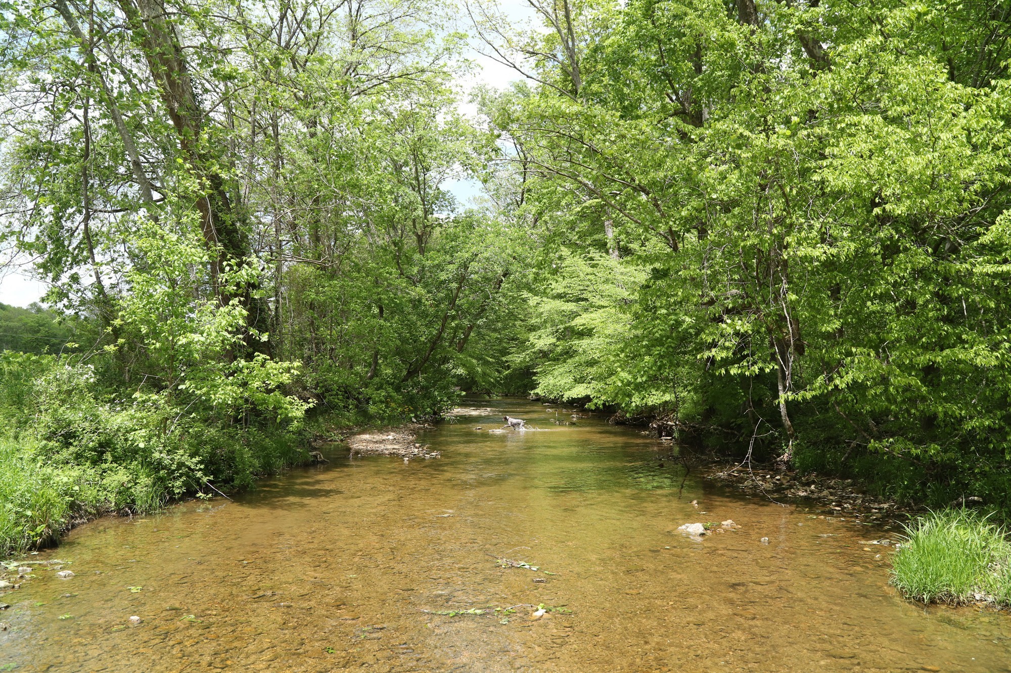 4801 Highway 48 Cumberland Furnace TN 37051
