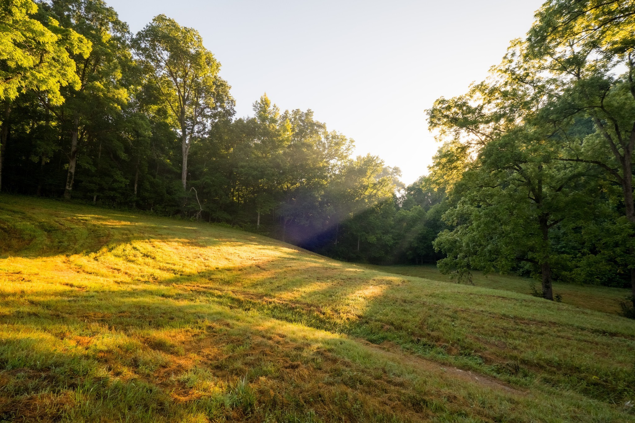 1462 Highway 48, S Dickson TN 37055