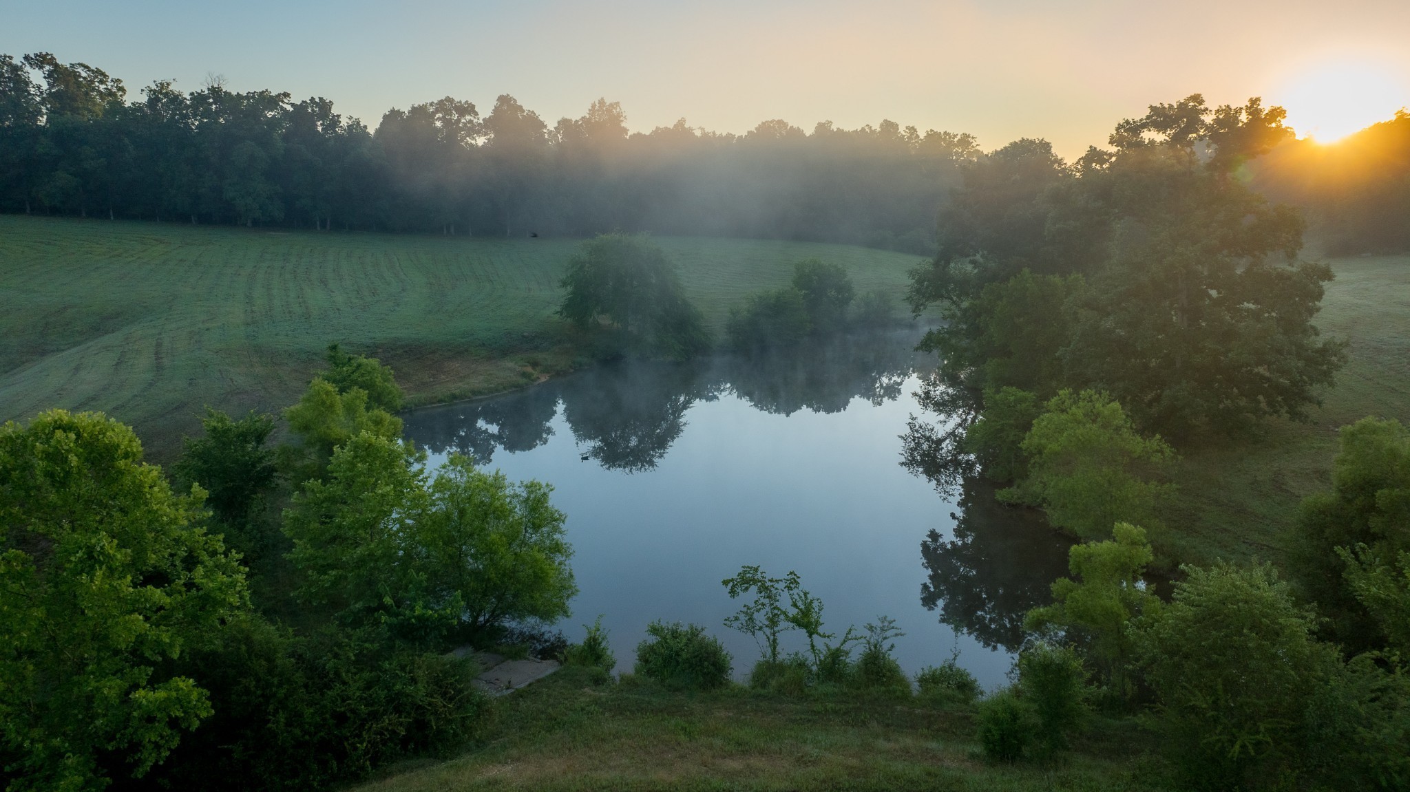 1462 Highway 48, S Dickson TN 37055