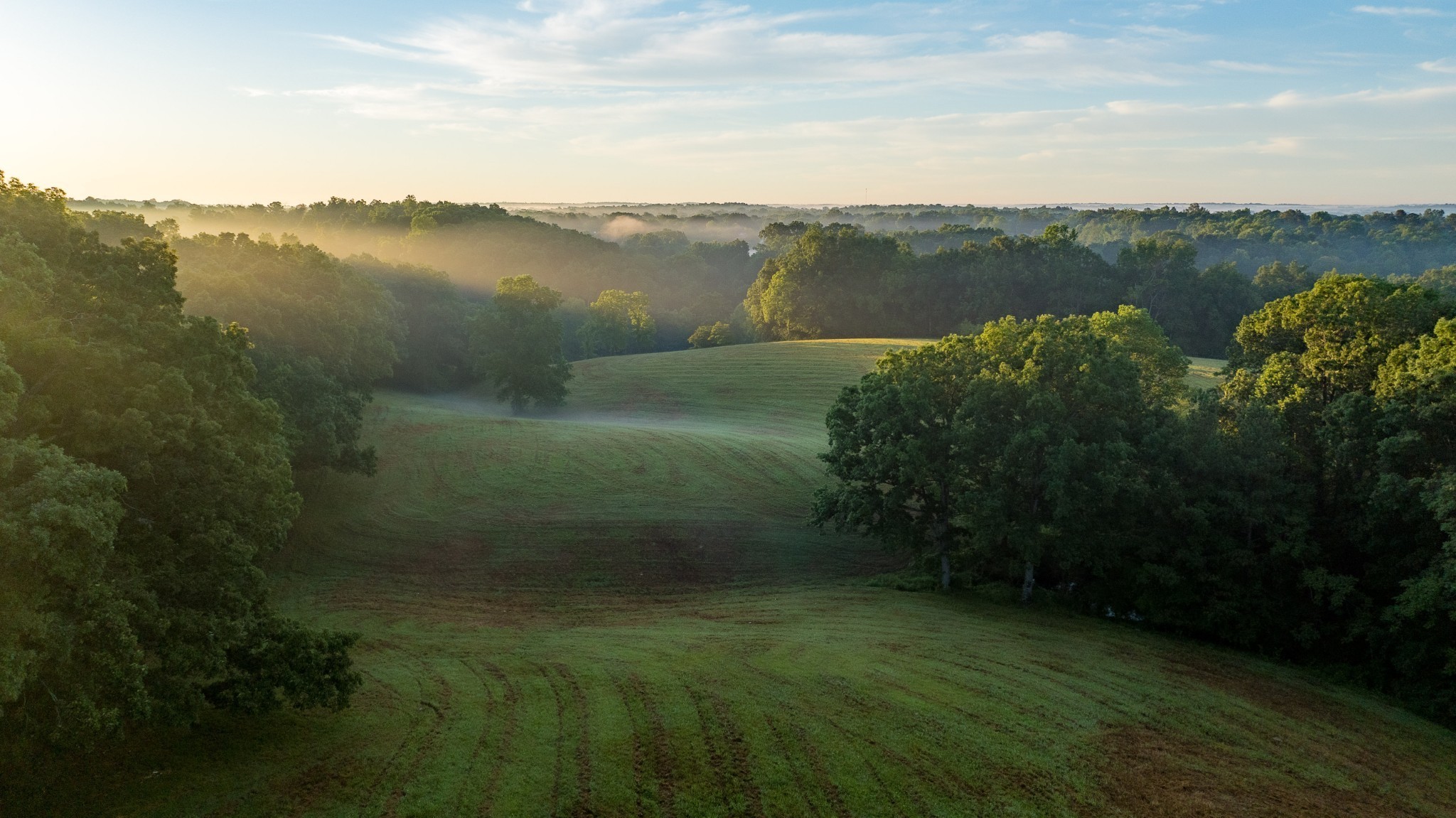 1462 Highway 48, S Dickson TN 37055