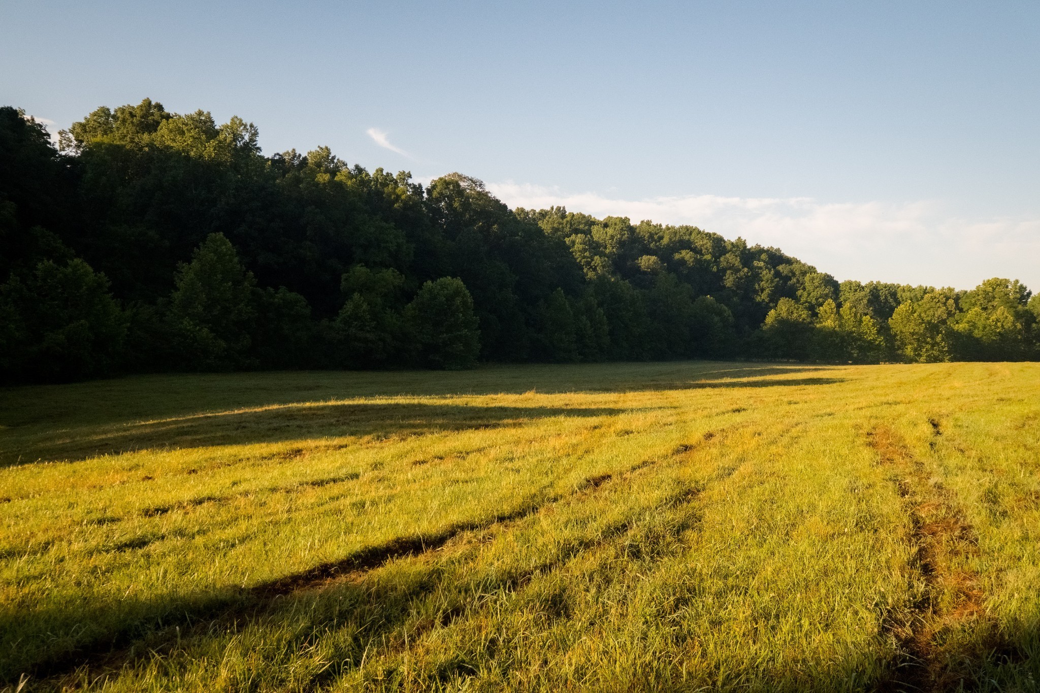 1462 Highway 48, S Dickson TN 37055