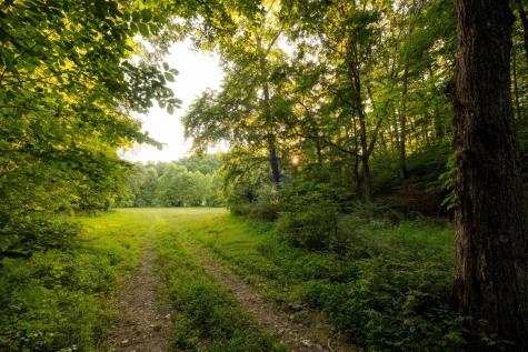 1462 Highway 48, S Dickson TN 37055