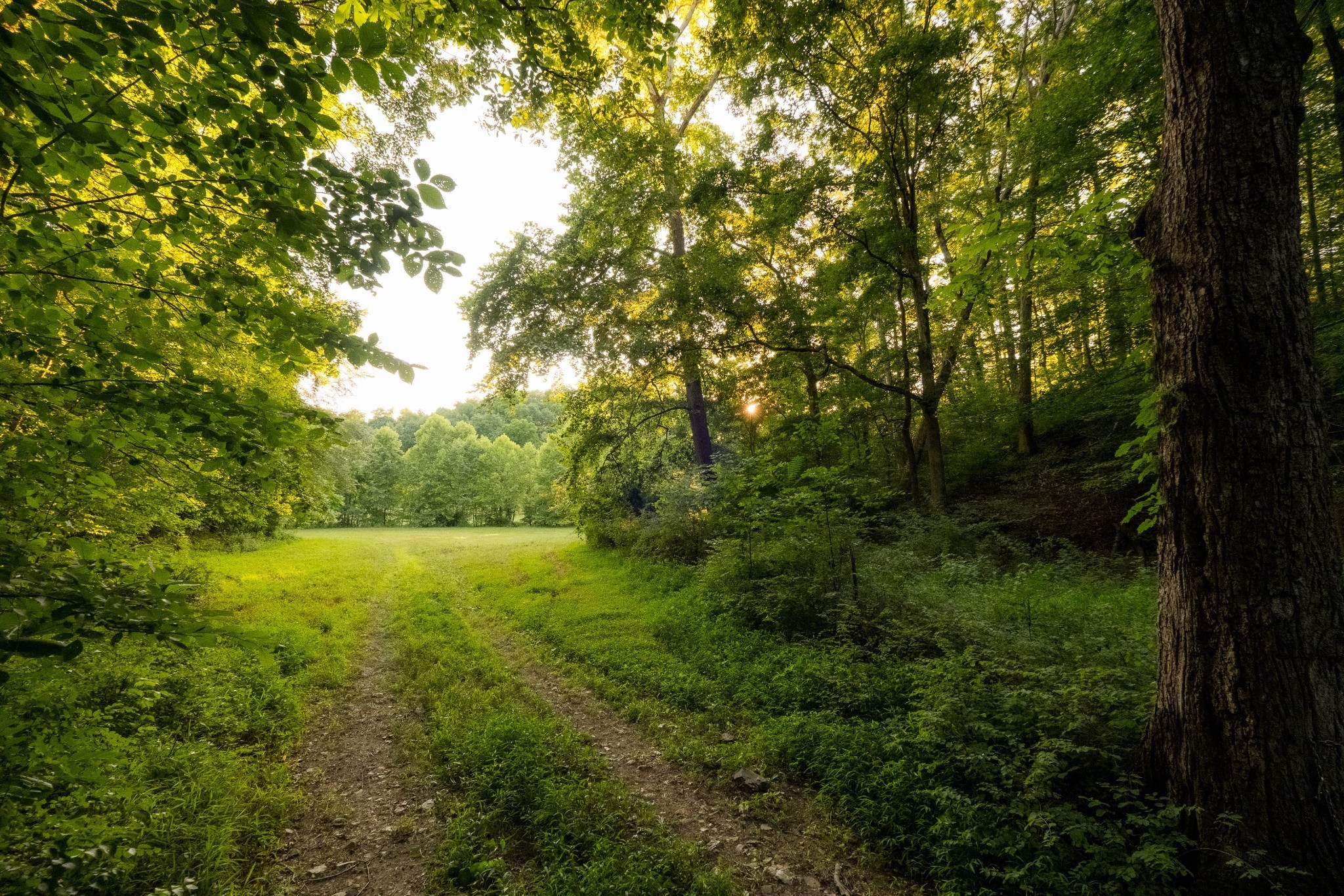 1462 Highway 48, S Dickson TN 37055