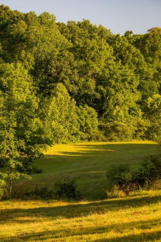 1462 Highway 48, S Dickson TN 37055