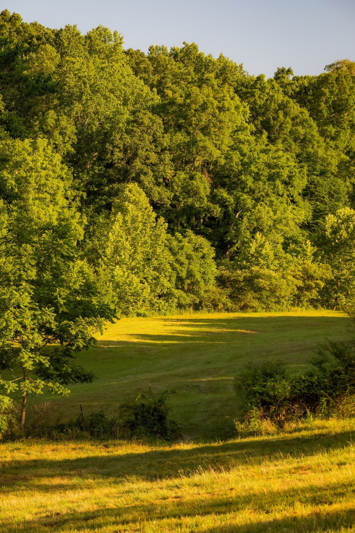 1462 Highway 48, S Dickson TN 37055