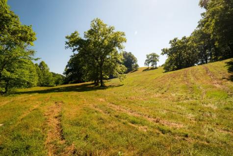 1462 Highway 48, S Dickson TN 37055