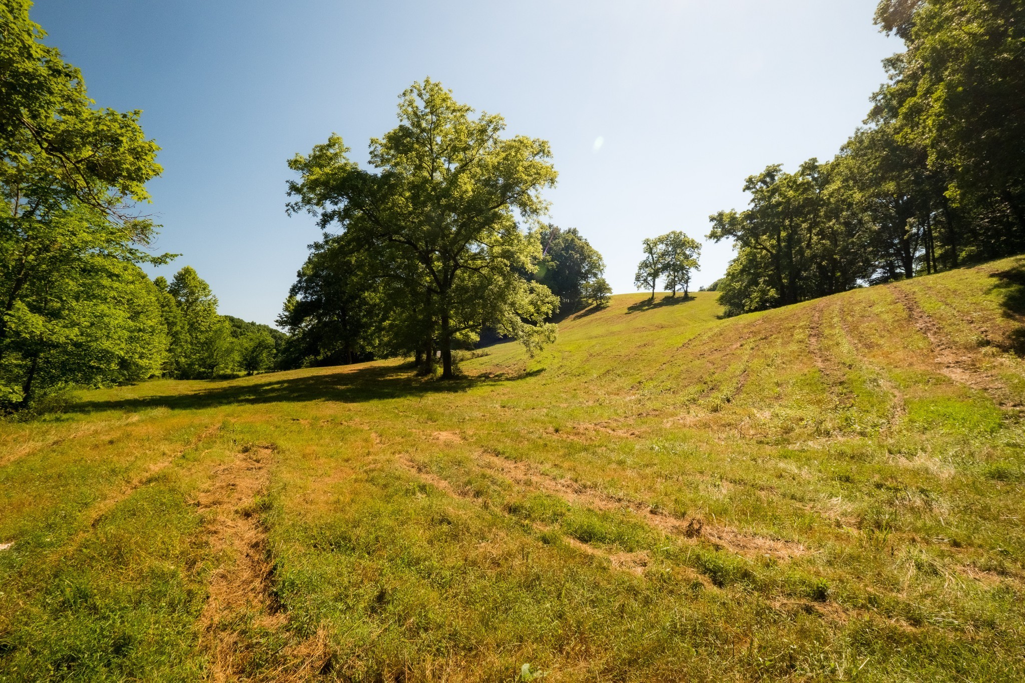 1462 Highway 48, S Dickson TN 37055
