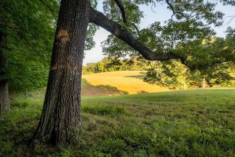 1462 Highway 48, S Dickson TN 37055