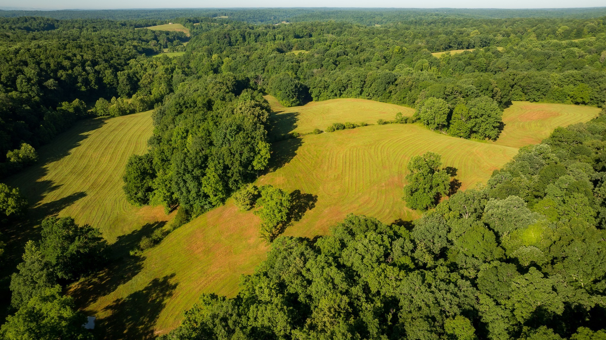 1462 Highway 48, S Dickson TN 37055
