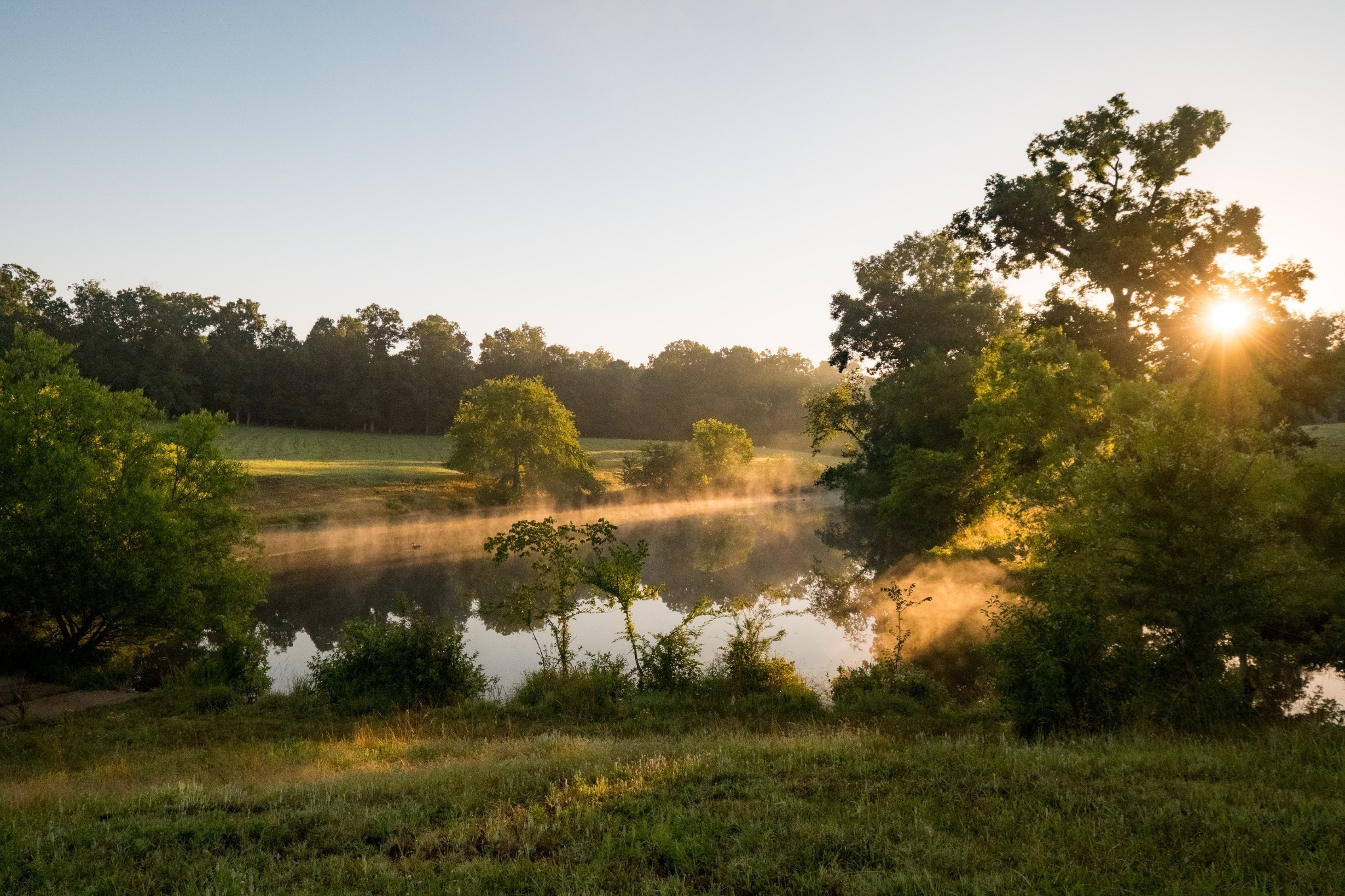 1462 Highway 48, S Dickson TN 37055