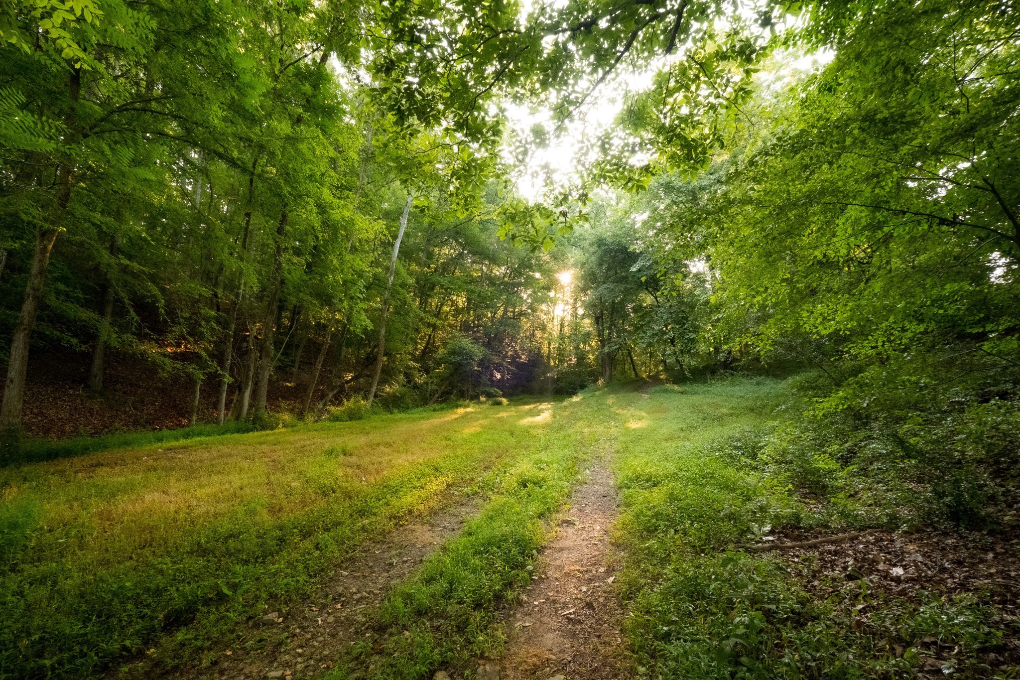 1462 Highway 48, S Dickson TN 37055
