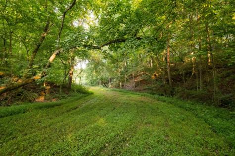 1462 Highway 48, S Dickson TN 37055