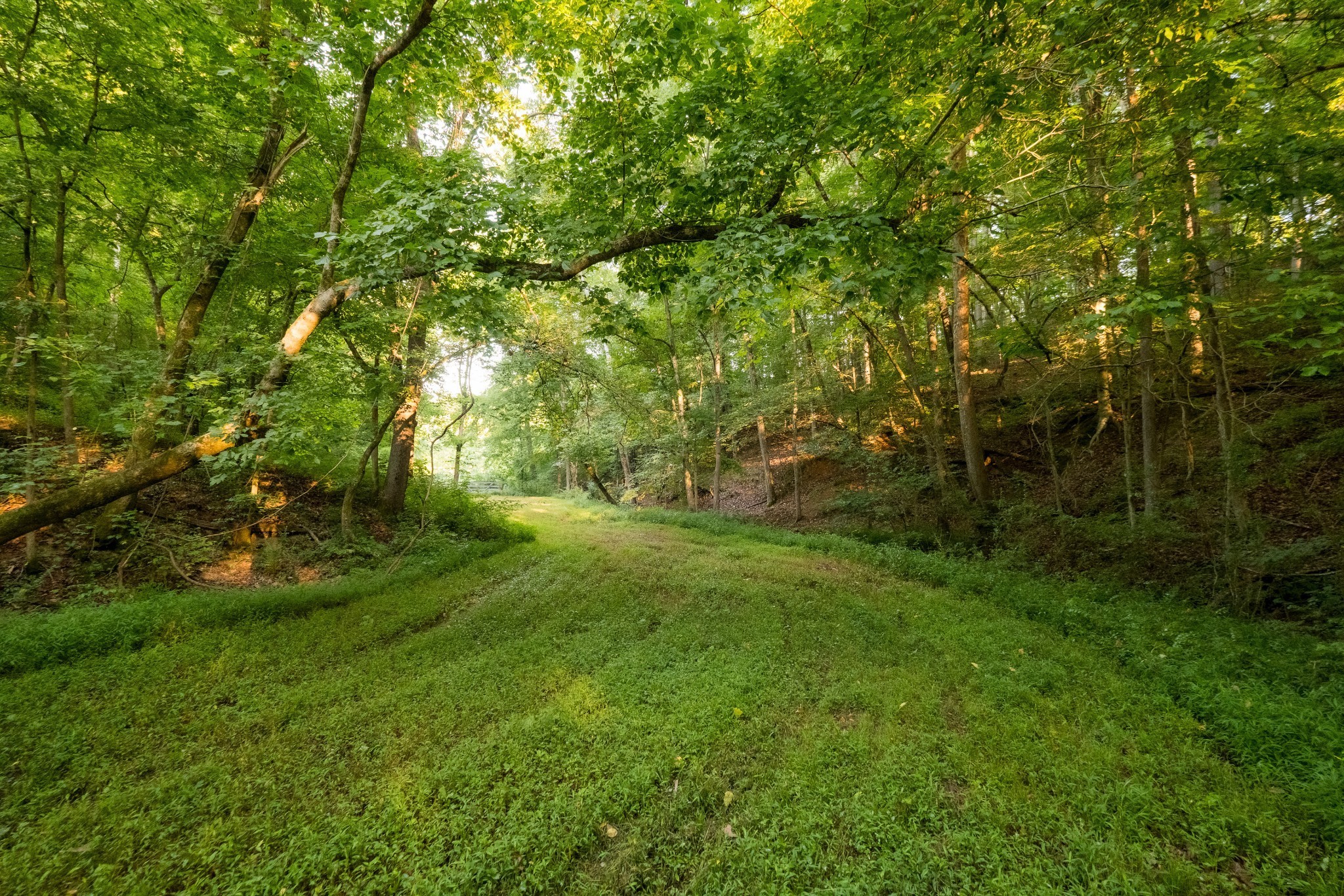 1462 Highway 48, S Dickson TN 37055