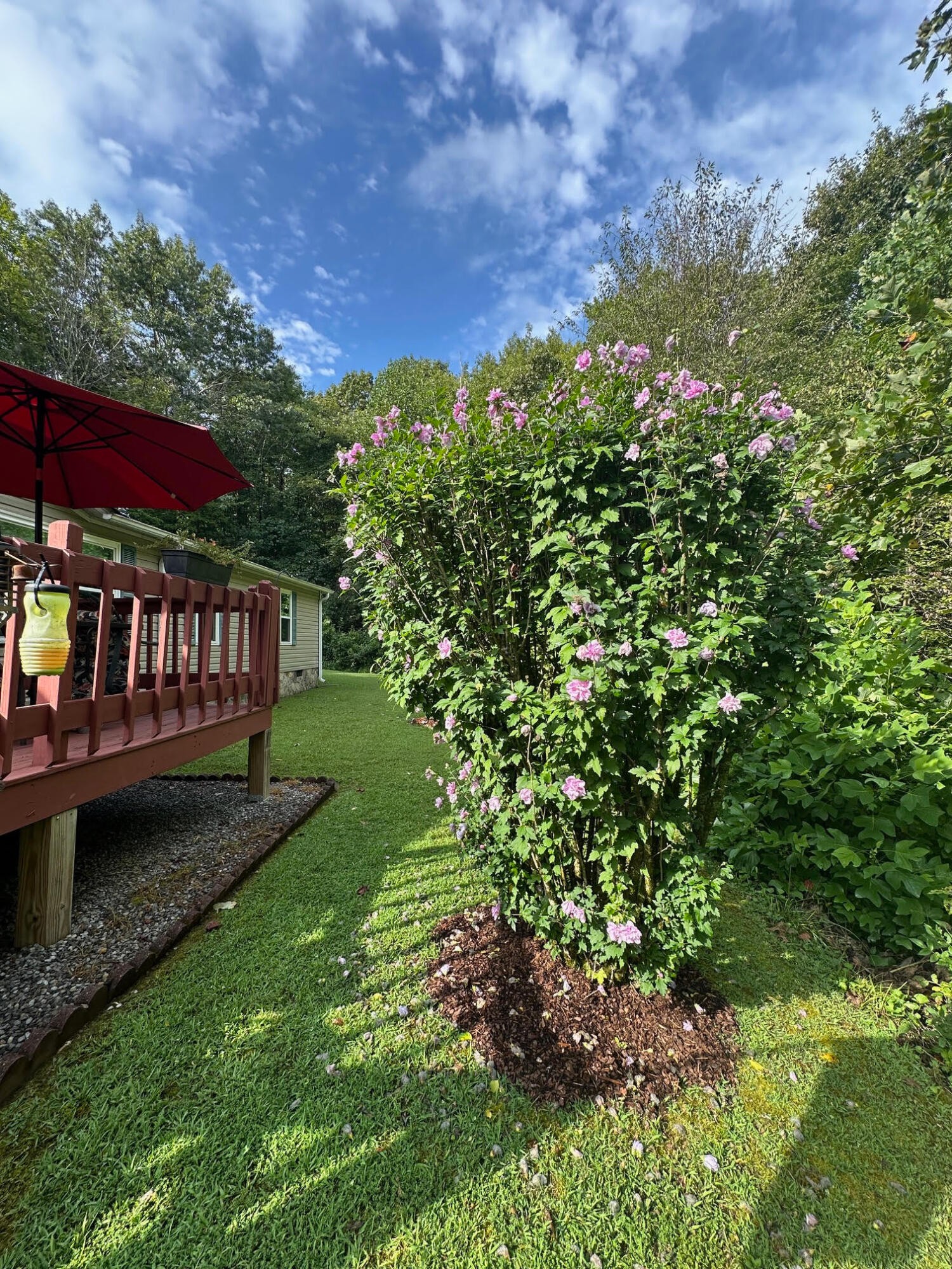 434 D Harvey Road Graysville TN 37338