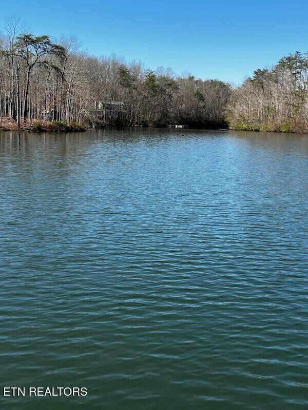 41 Crystal Point Monterey TN 38574