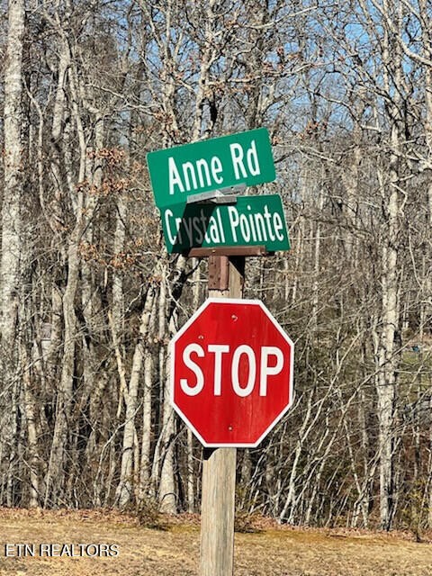 41 Crystal Point Monterey TN 38574