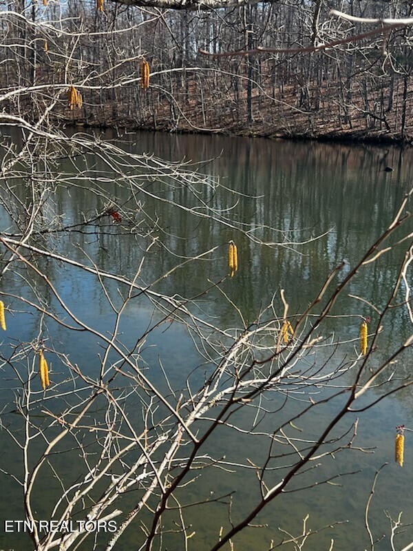 41 Crystal Point Monterey TN 38574