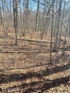 41 Crystal Point Monterey TN 38574