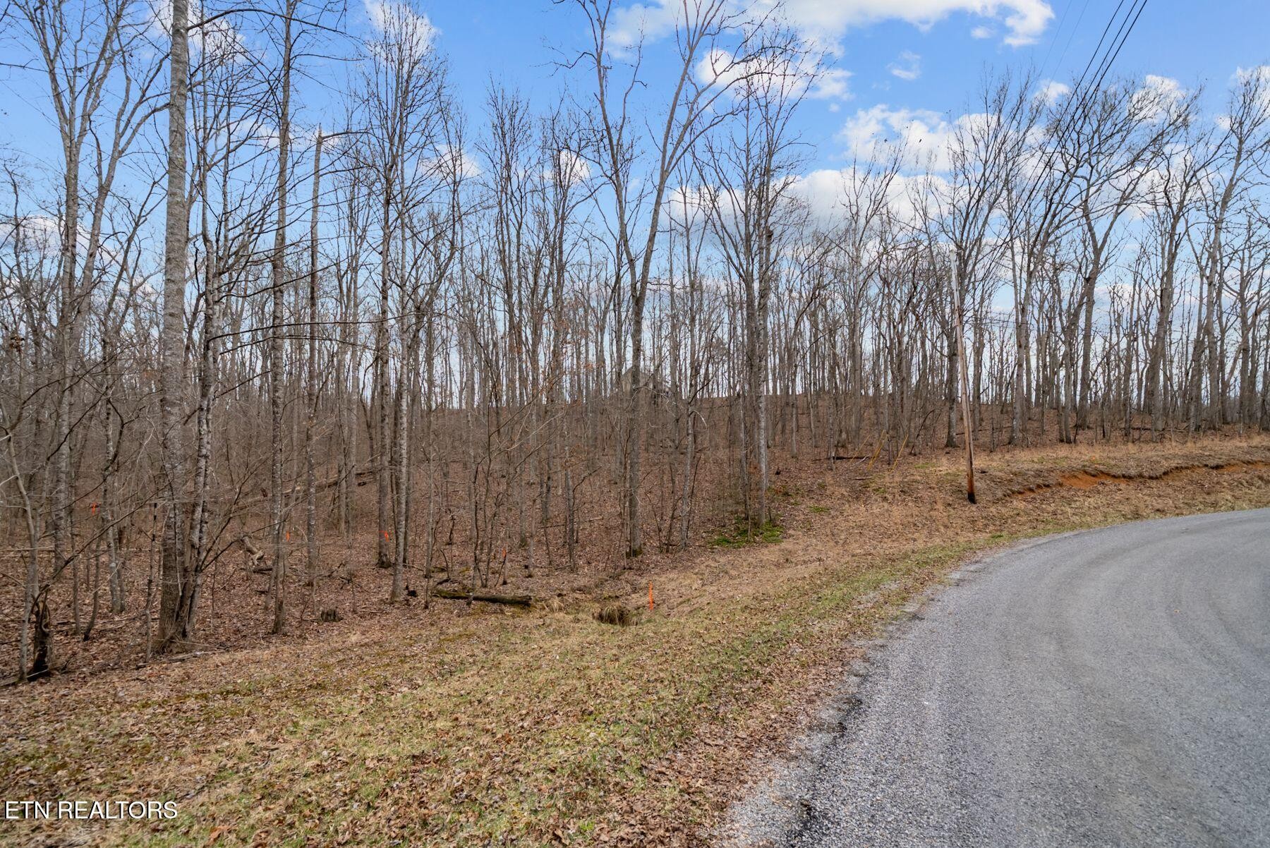 0 Creek Drive Monterey TN 38574
