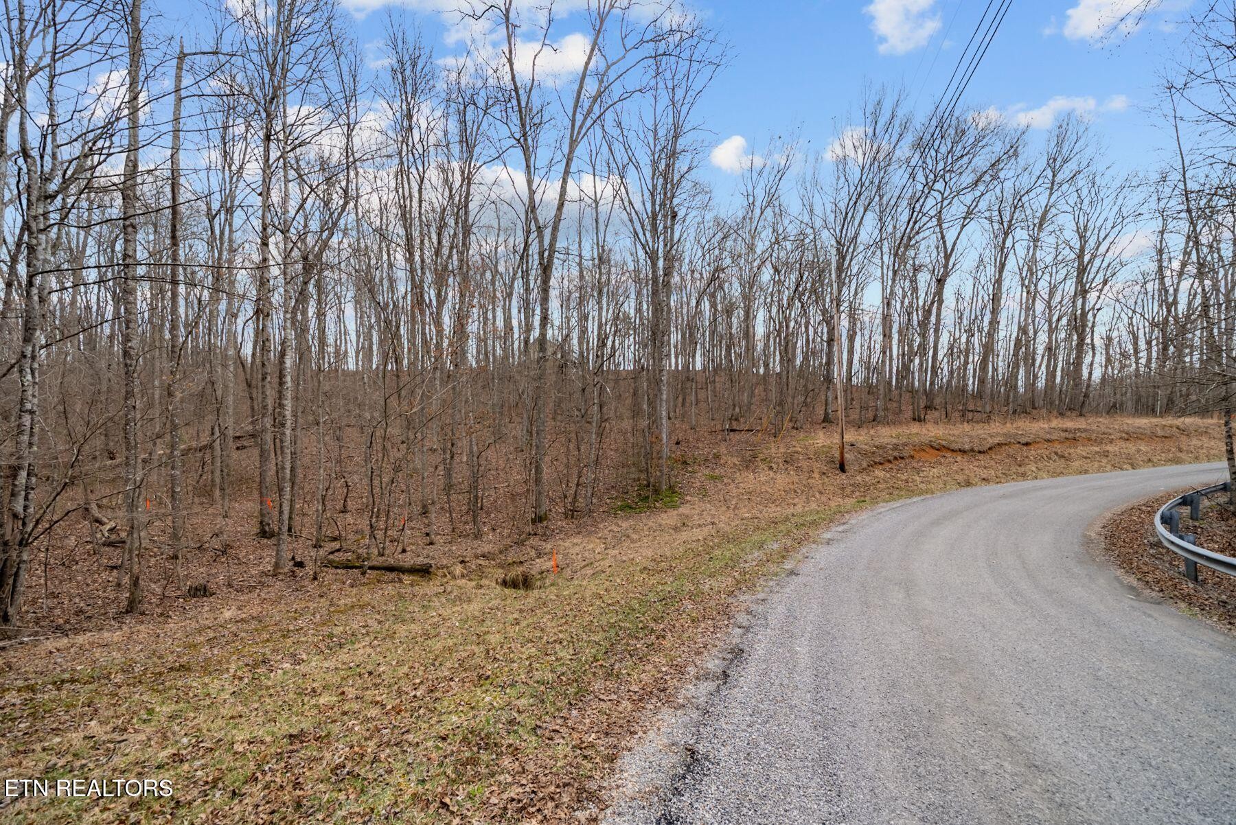 0 Creek Drive Monterey TN 38574