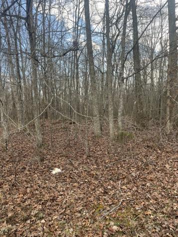 0 Boynton Valley Road Manchester TN 37355