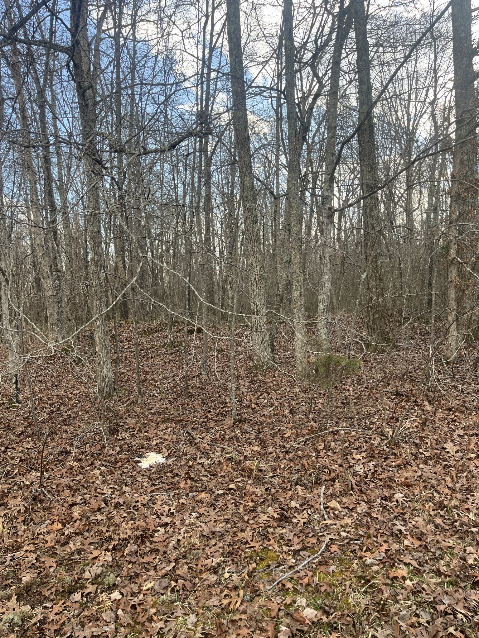 0 Boynton Valley Road Manchester TN 37355