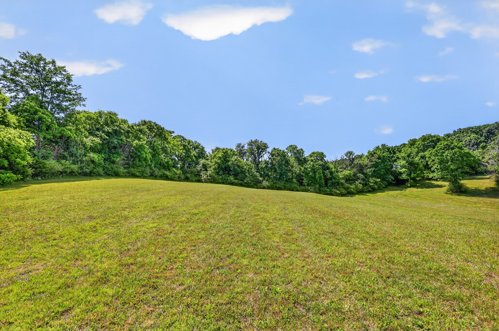 1176 Iron Bridge Road Columbia TN 38401
