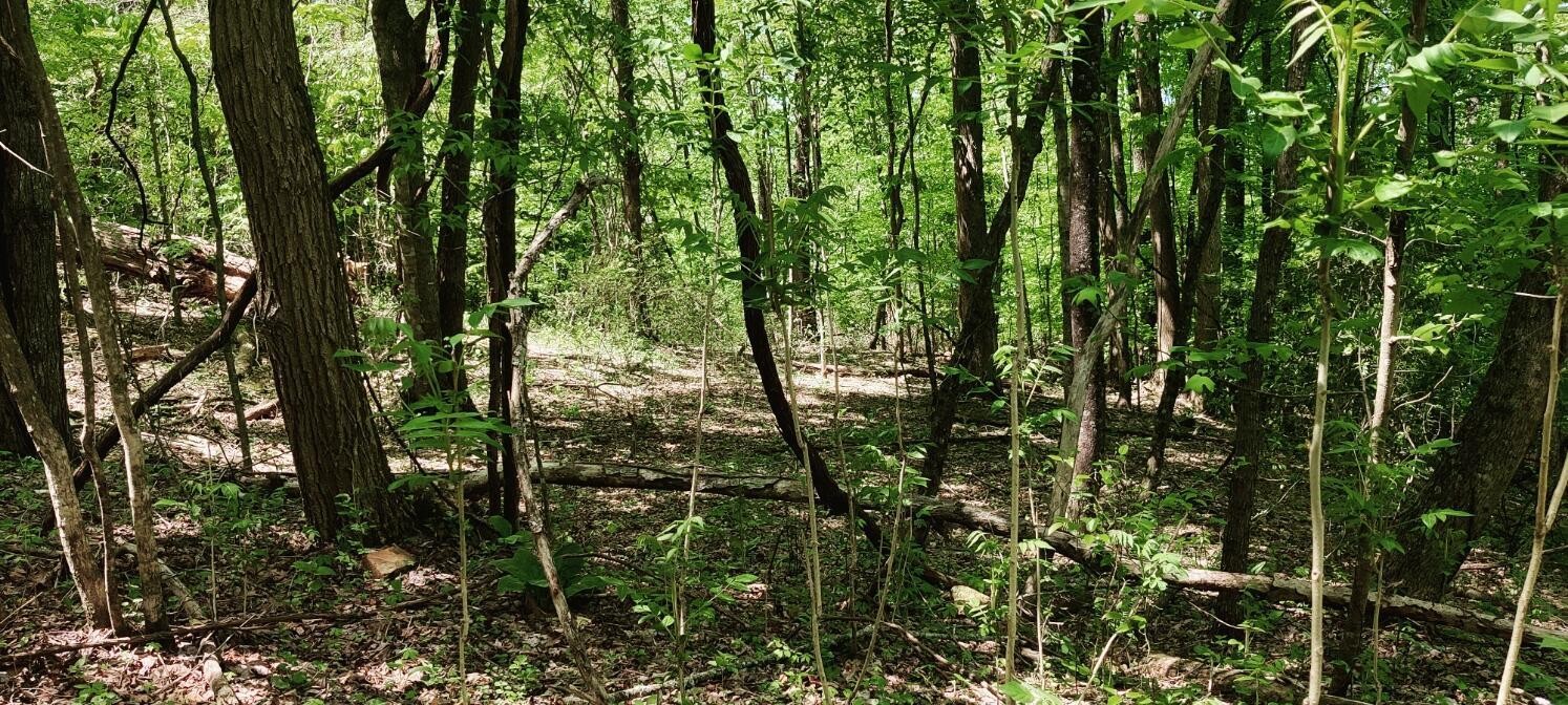 0 Coburntown (Lot 11) Road South Pittsburg TN 37380