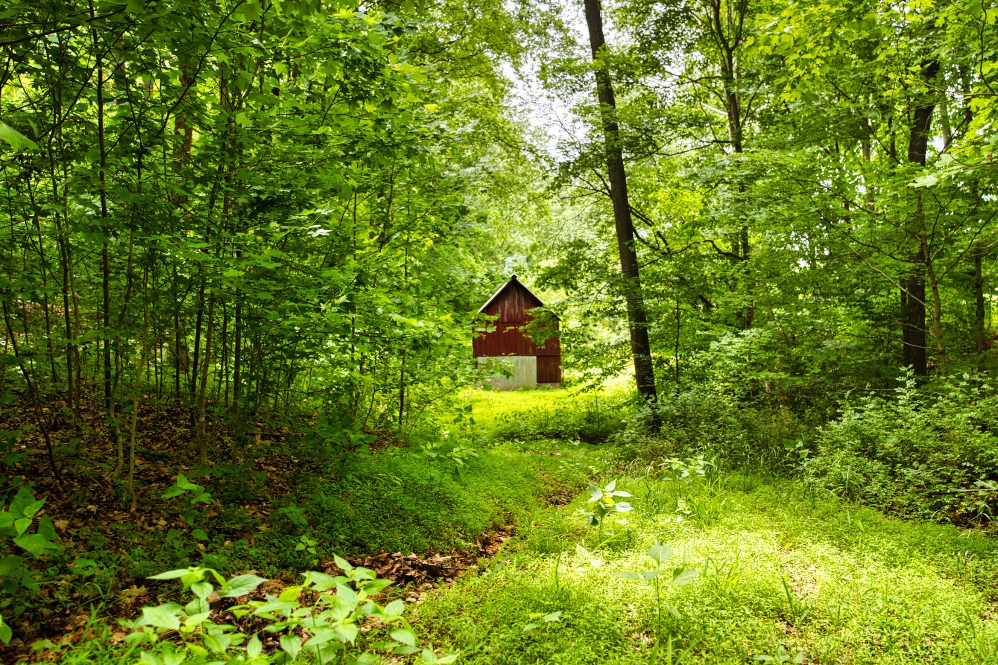 1930 Hickory Point Road Clarksville TN 37043