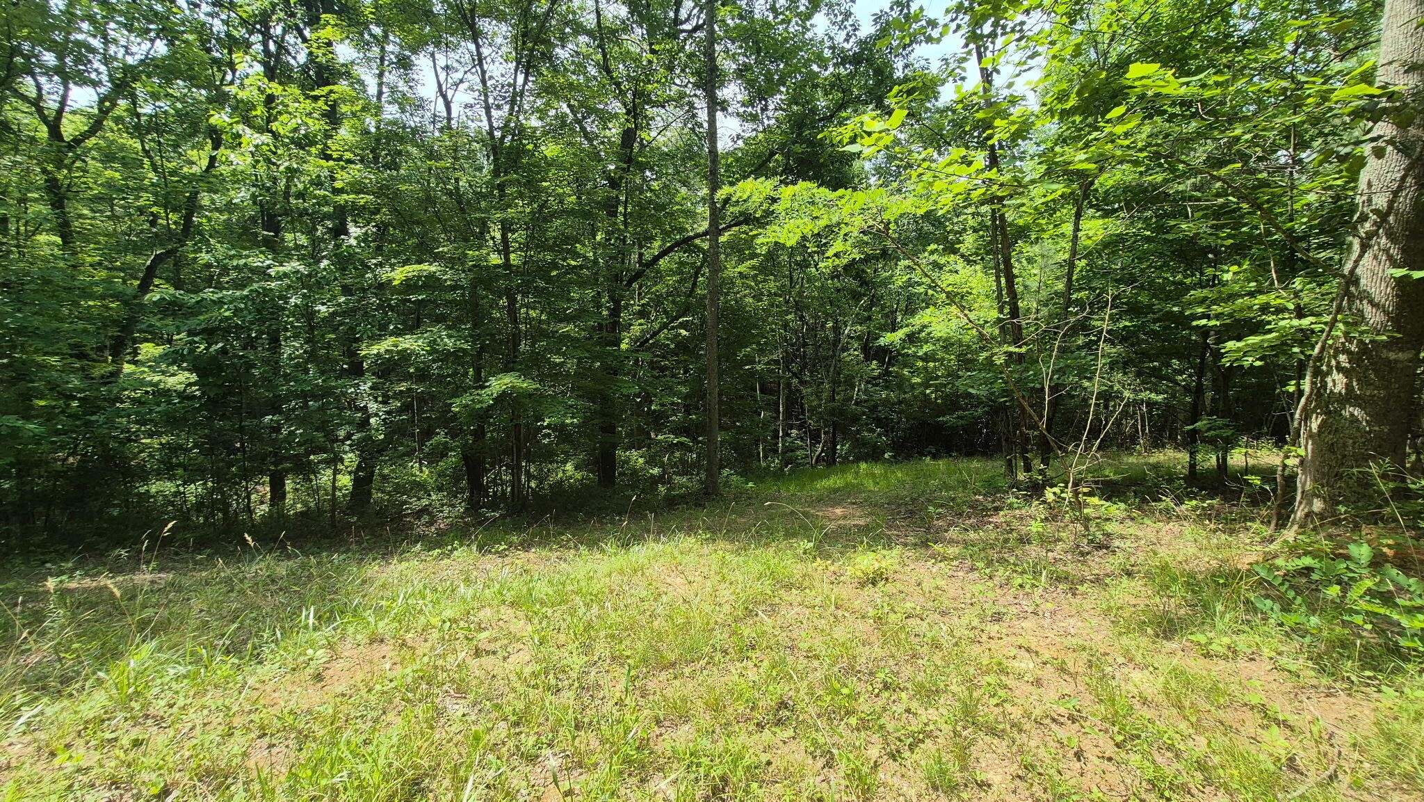 1255 Cherokee Path Jasper TN 37347