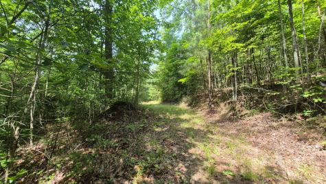 1255 Cherokee Path Jasper TN 37347
