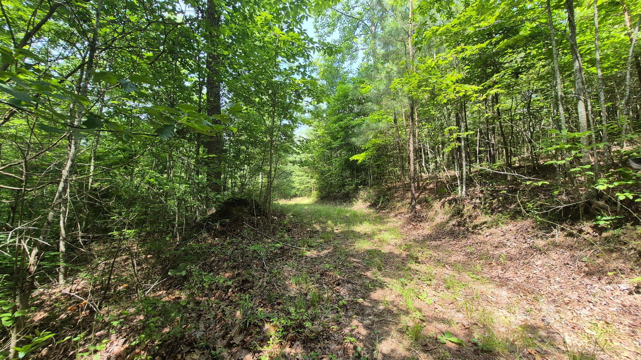 1255 Cherokee Path Jasper TN 37347