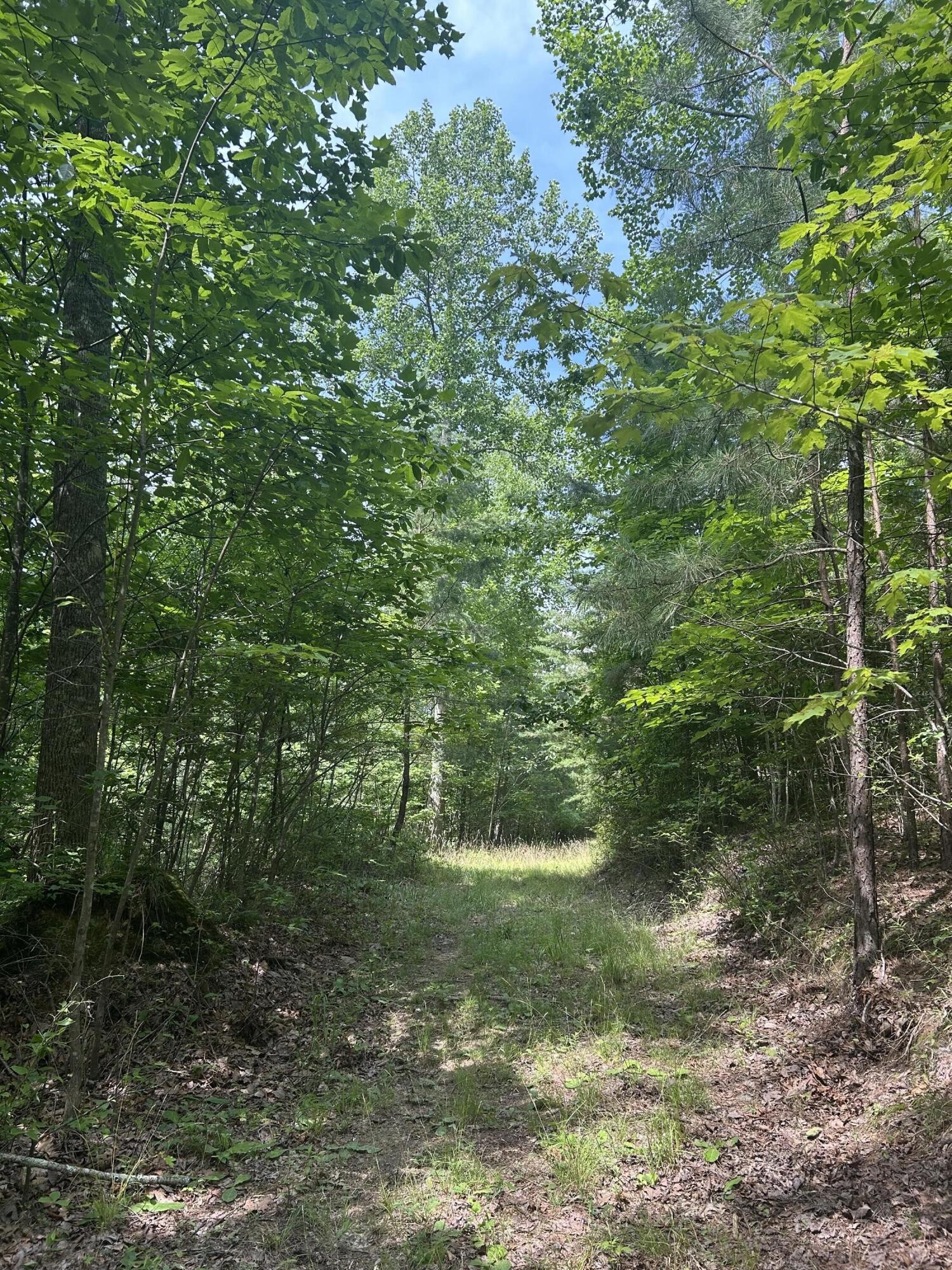 1255 Cherokee Path Jasper TN 37347