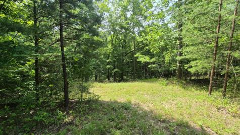 1255 Cherokee Path Jasper TN 37347