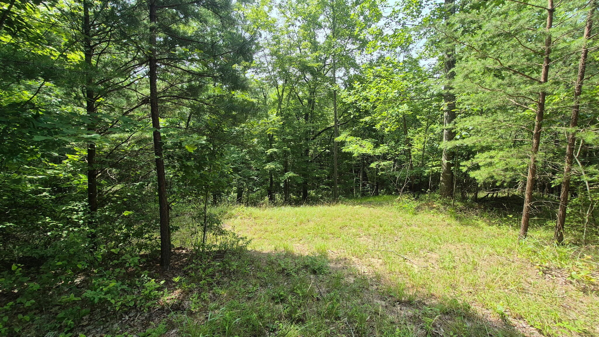 1255 Cherokee Path Jasper TN 37347