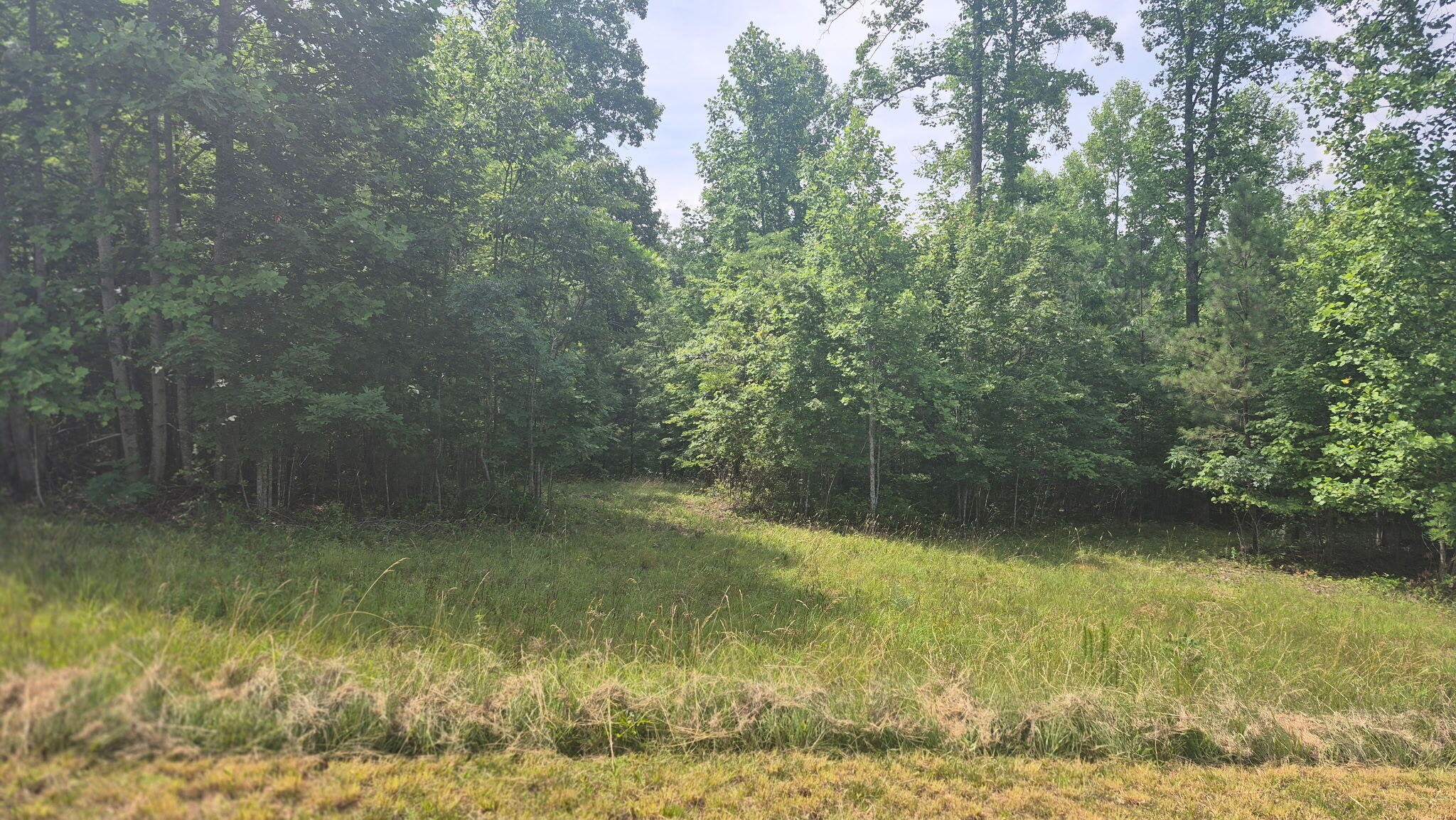 1255 Cherokee Path Jasper TN 37347