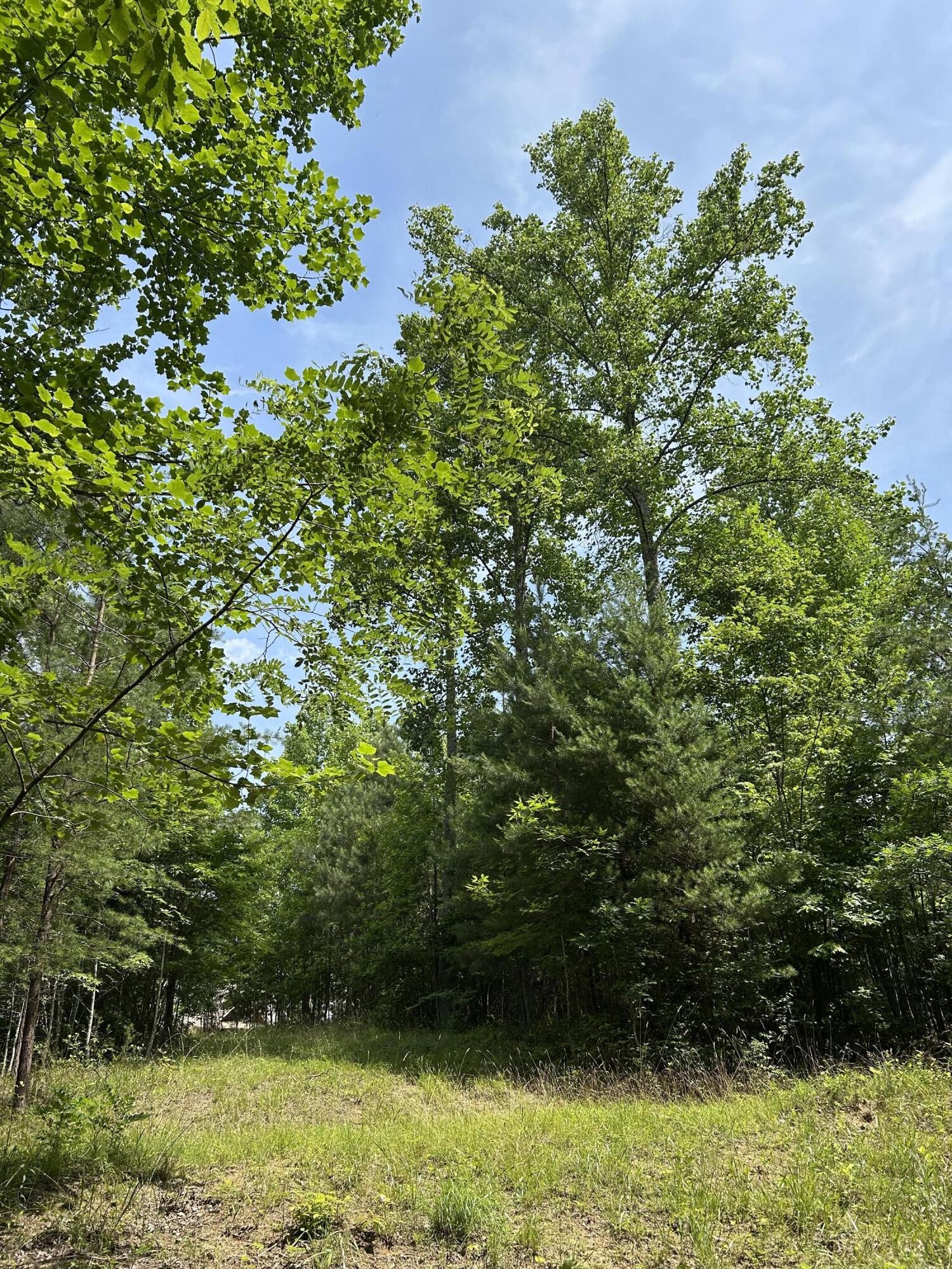 1255 Cherokee Path Jasper TN 37347