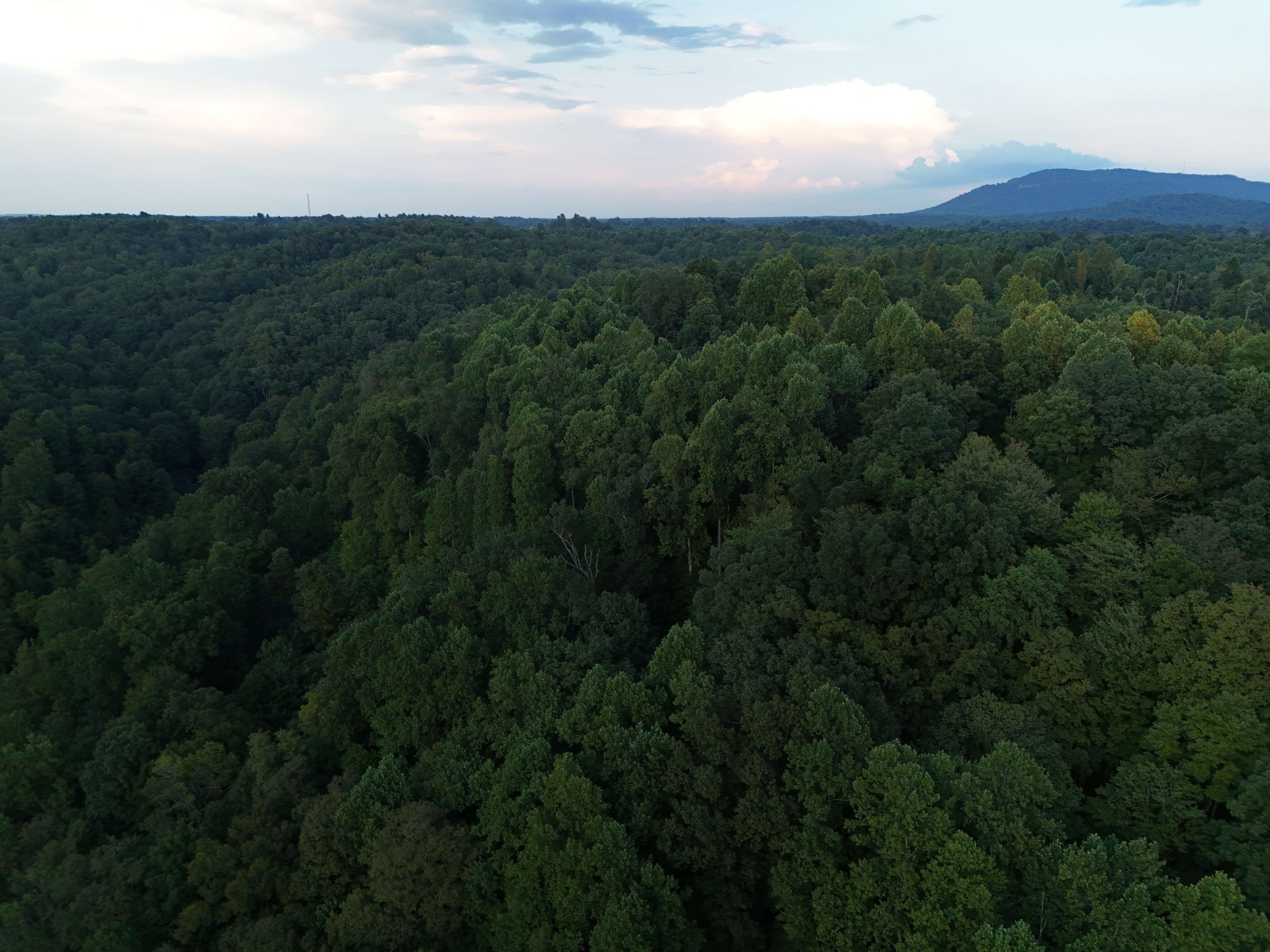 778 Jones Hollow Road Woodbury TN 37190