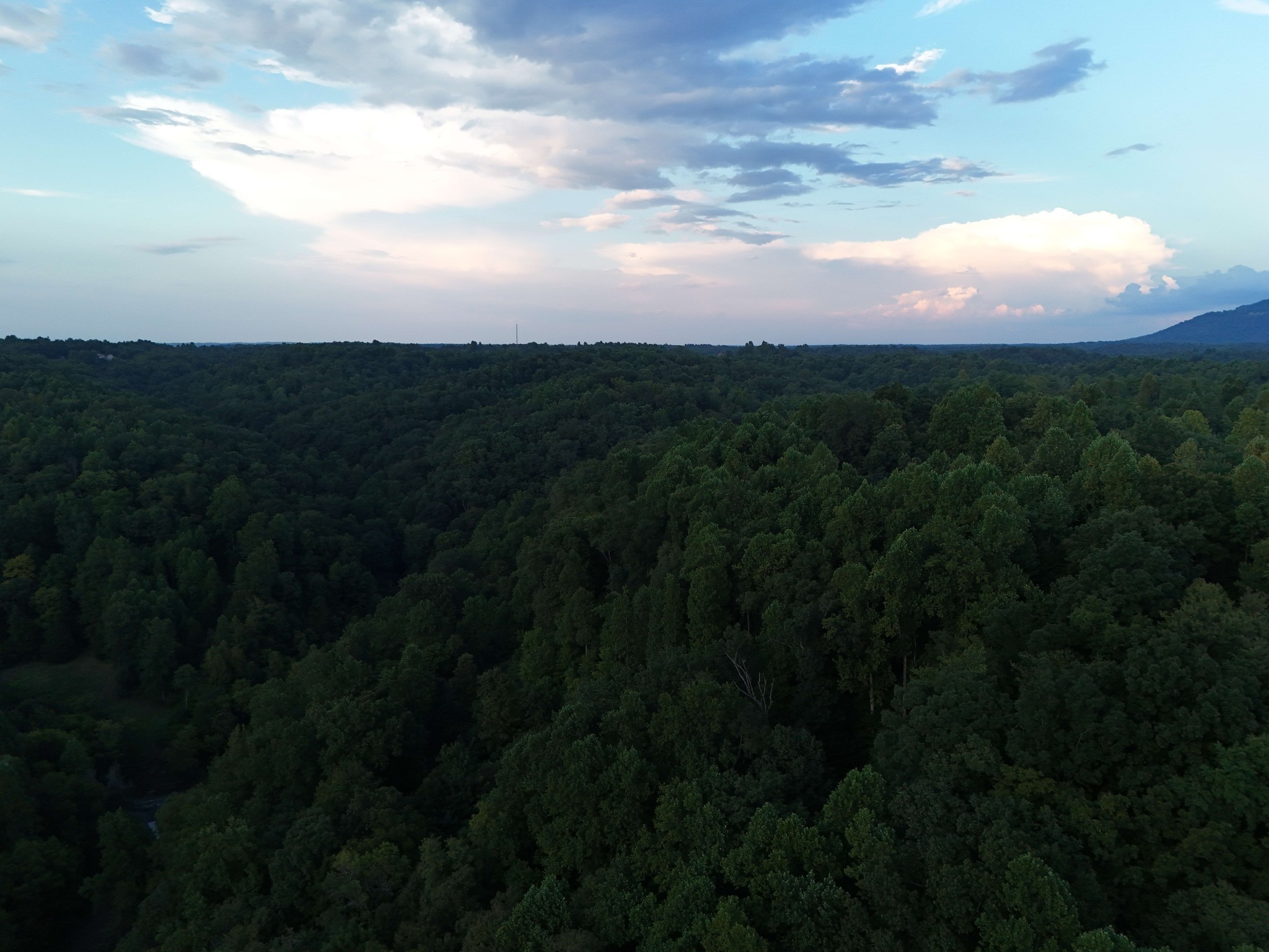 778 Jones Hollow Road Woodbury TN 37190